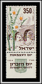 Narcissus and Bridge at Gesher