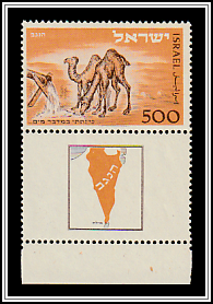 Dromedaries at the Source in the Negev