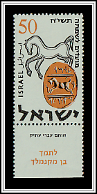 Horse & Seal