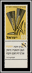 Barley