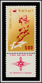 Hammer Throw