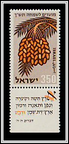 Dates (Phoenix dactylifera)