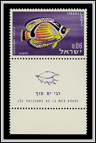 Pennant Coral Fish