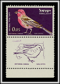 Sanai Rosefinch
