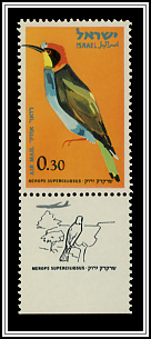 Blue-chested Bee Eater