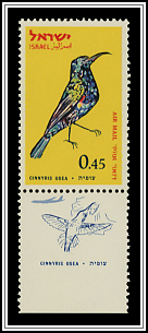 Palestine Sunbird
