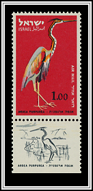 Purple Heron