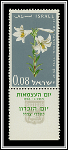 White Lily