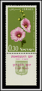 Hollyhock