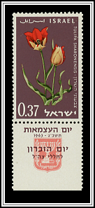 Tulip