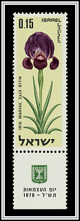 Negev Iris
