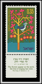 Bird in Tree