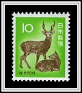 Sika Deer