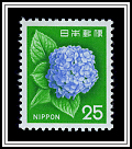 Hydrangea