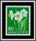 Narcissus