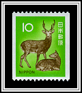 Sika Deer