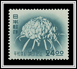 Chrysanthenum