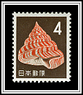Emperor's Slit Shell