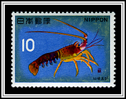 Japanese Spiny Lobster
