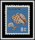 Sea Shell