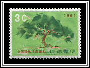 Pine Tree