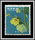 Sea Hibiscus