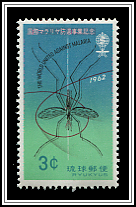 Malaria Mosquito