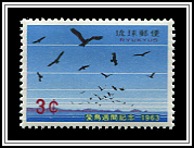 Hawks in Flight