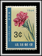 Carnation
