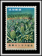 Pineapples and Cane
