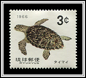 Eretmochelys Imbricata