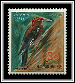 Woodpecker