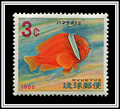 Clown Fish
