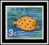 Boxfish
