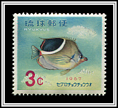 Butterflyfish
