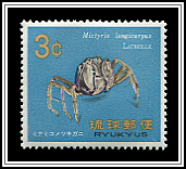 Mictyra Longicarpus