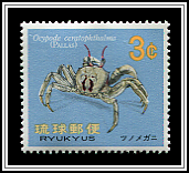 Ocypode Ceratophthalma