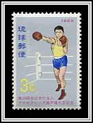 Boxer in Ring