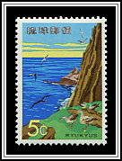 Birds on the Shore
