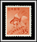 Goldfish