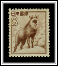 Japanese Serow