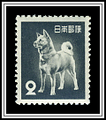 Akita