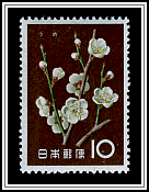 Plum Blossoms