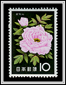 Peony