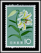 Lily