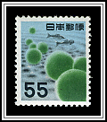 Water Plants