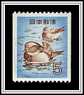 Mandarin Ducks