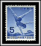 Parallel Bars