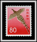 Copper Pheasant