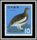 Rock Ptarmigan